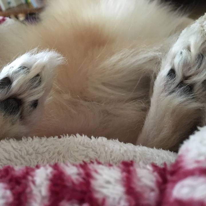 2506734d d322 4cd7 a3b4 ea45b7f1cc75