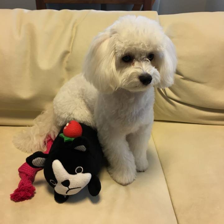 25076da5 3985 4cc9 8ecb f1a0efd22d7b