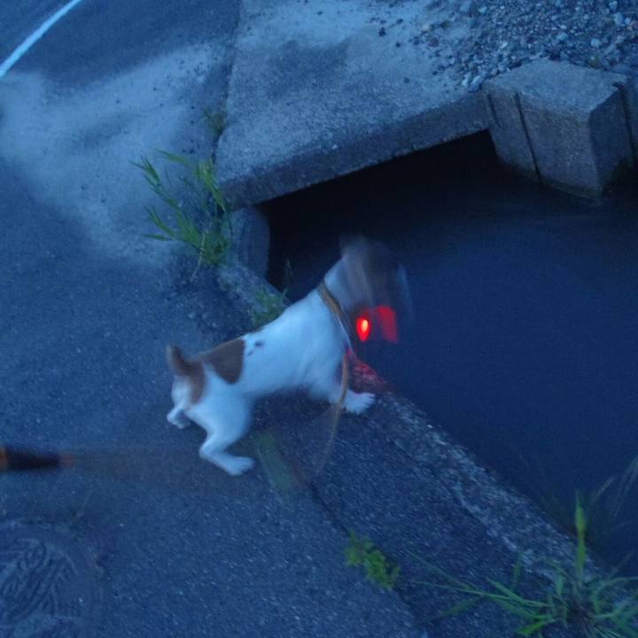 250789b7 f82f 4904 bc98 dfe33d1f8567