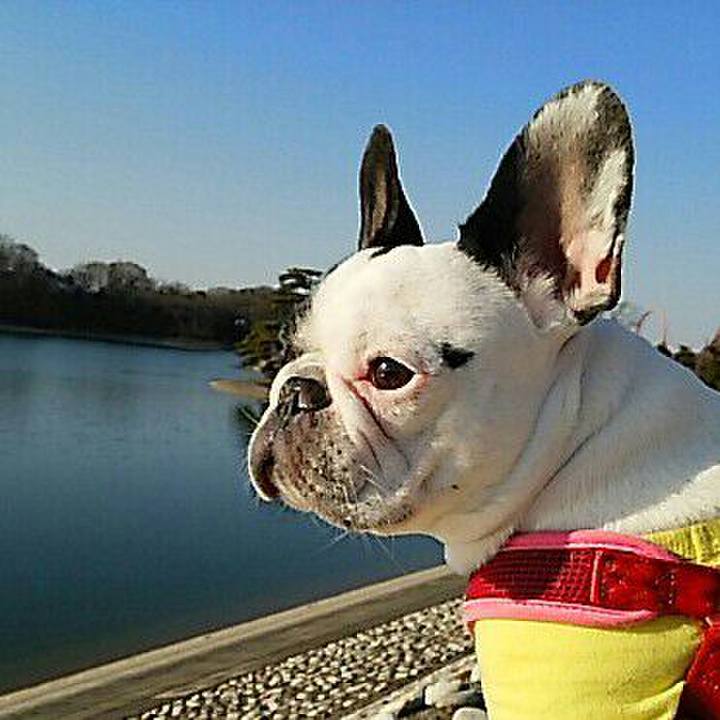 2508510d 92fd 4eb5 8289 a2b0fe7f2d34