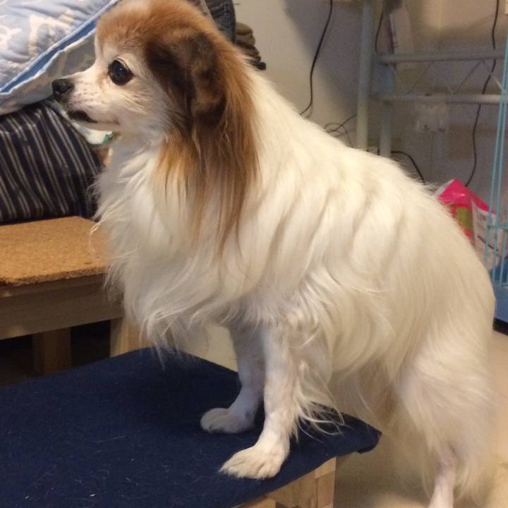 2508952c 7b22 404f a30e 0b2070fa82fd