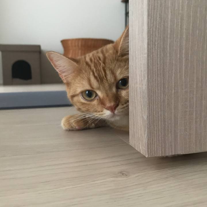 2508aafe 4f05 4f3b b564 a49444d752c5