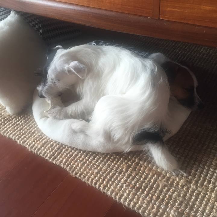 250978c0 aa05 452f 9c1b 717f095fd7cd