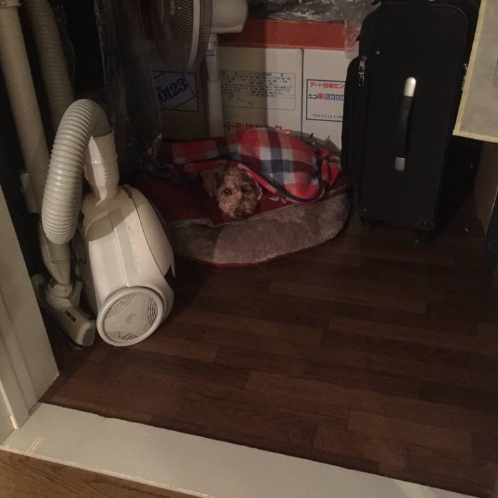 2509c7af 9d5b 44db 9415 fa48d86bff0a