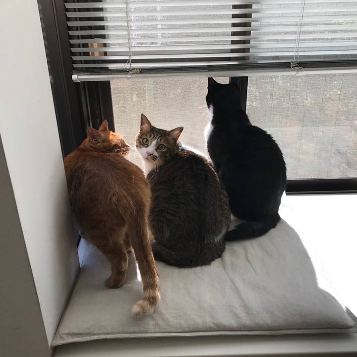 250a47ef 9cae 4cff a531 ea6fa257f8c3