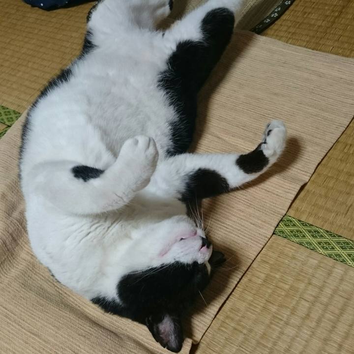 250a7c08 6e16 491e 9696 83fcd10271cd