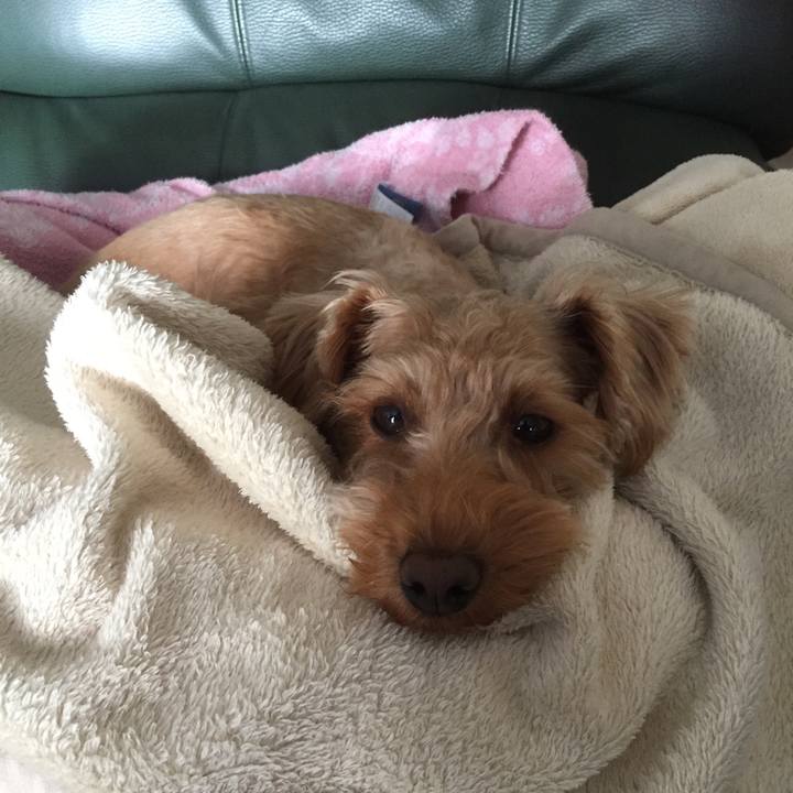 250c6580 b219 4ebd bd63 d3c6f75c384c