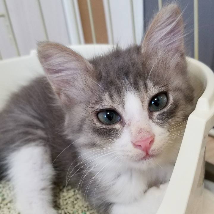 250c97bb 3627 42dc 85c2 df6fbfc0bb14