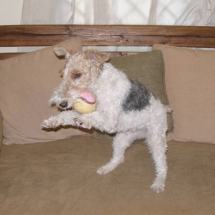 250d2b43 3cd9 4a17 99b8 dcc10832b4df