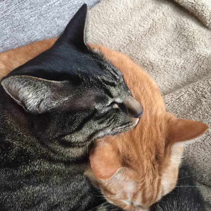 250dc17b 0941 46fc 87bf 6c54c28b33a5