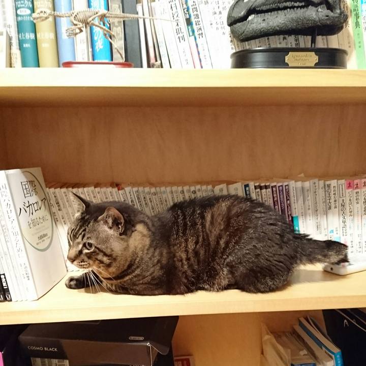 250df6f9 47ff 4752 a52a 0041cf39620f