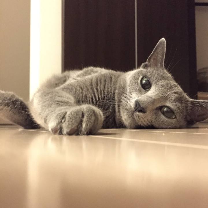 250e4f34 cb71 4a66 b132 a4b0e16cb951