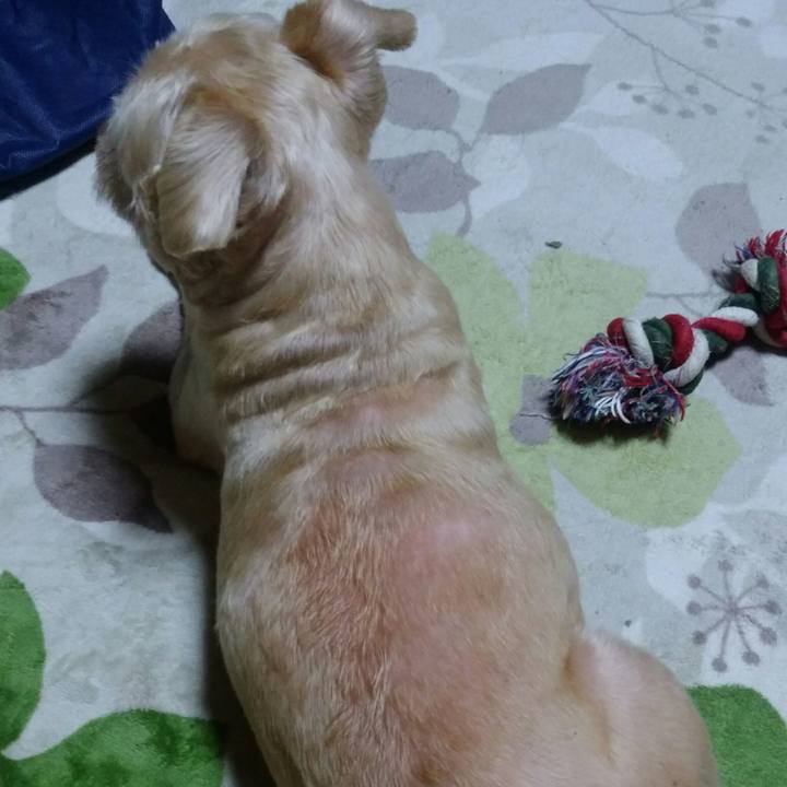 250f27dc 75d0 466a afbc 7b9b899d64fe