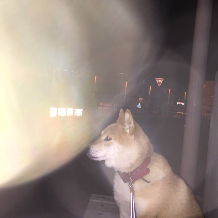 250f326a b1fe 4efb a98f f6d8d86da61d