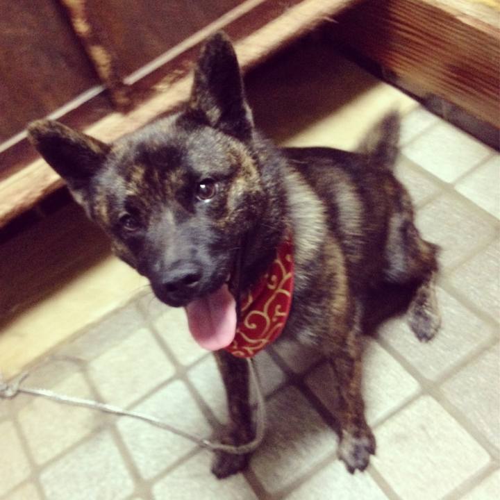 25100bd6 ad6b 469f 96e4 89b892098f15