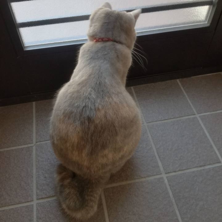 2510477f 13f8 414c b085 97f79535c175