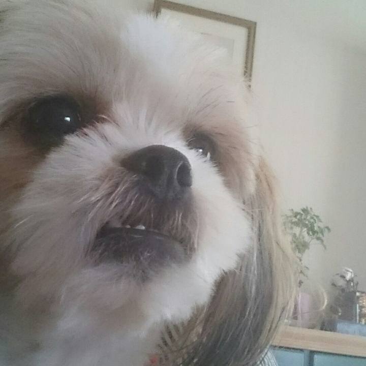 2510a102 a365 4ca2 be67 18be0781f828