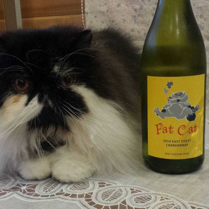 2510ba10 c17d 4895 996e c6e14bc1f812