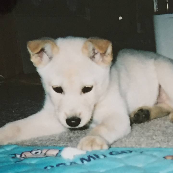 25119bbe 426a 4004 bb4f 581f99353530