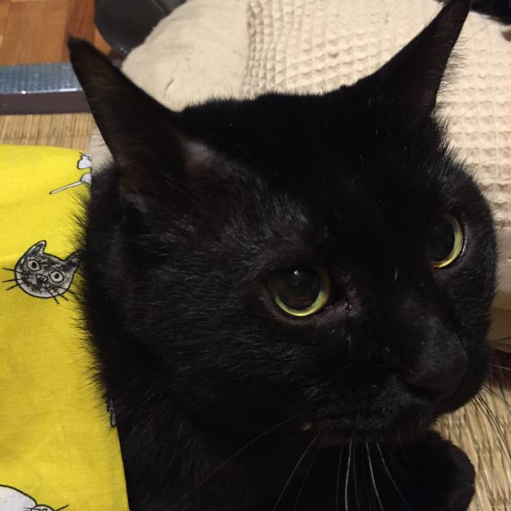 25123706 8c46 420c af1a 6d2f3e6ad5ef