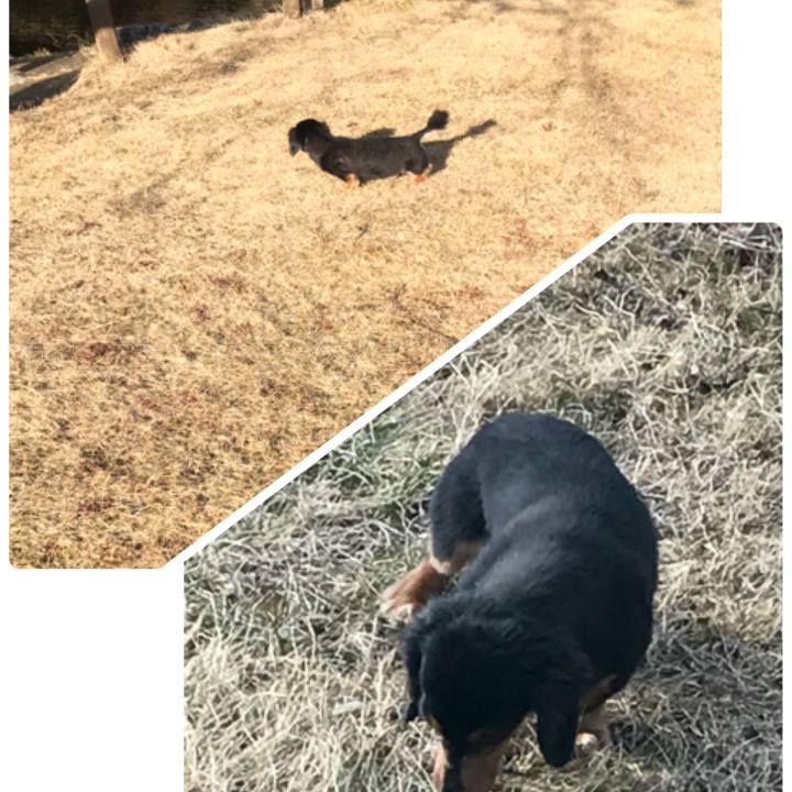 25126dcb a574 4504 a565 36a77dcd76a3