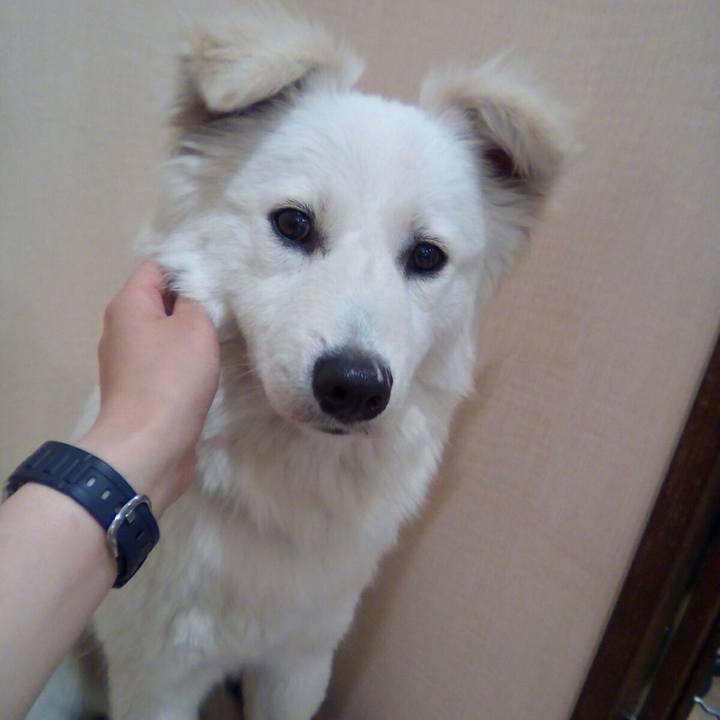 2512e2f5 1206 41bd 97e4 f4cd93a8ac1f