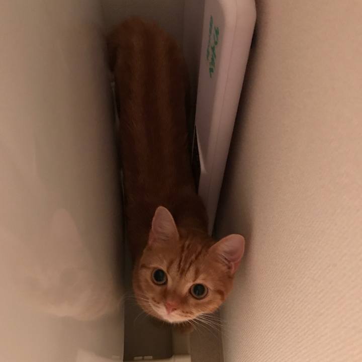 251316dc 647f 4784 91a1 697c1112c59a