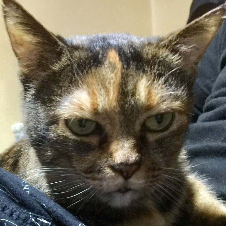 25131f26 f516 41b5 98fd e48e4abecb9e