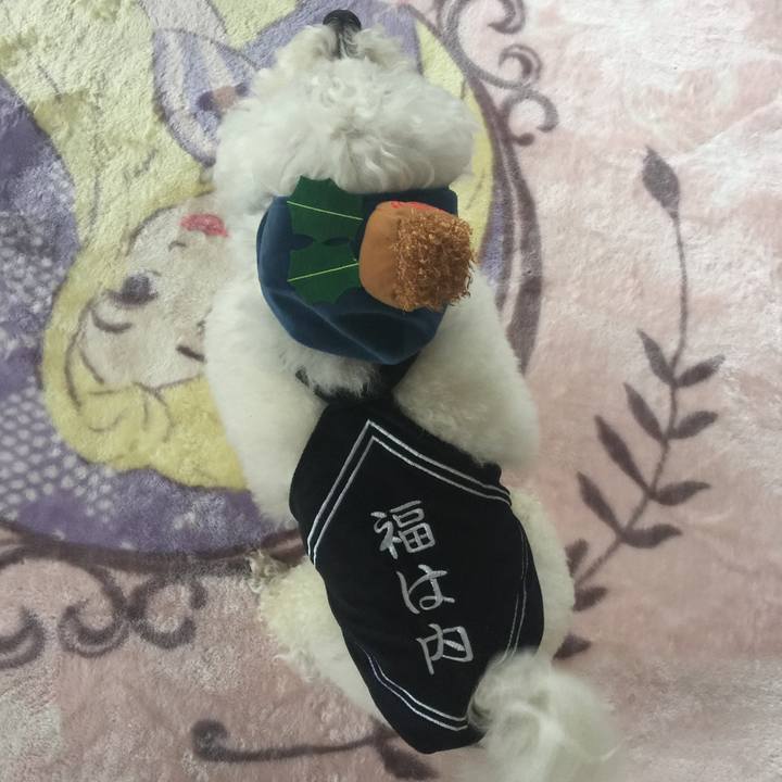 25139a18 63f9 4674 b8d4 0490c0ba9139