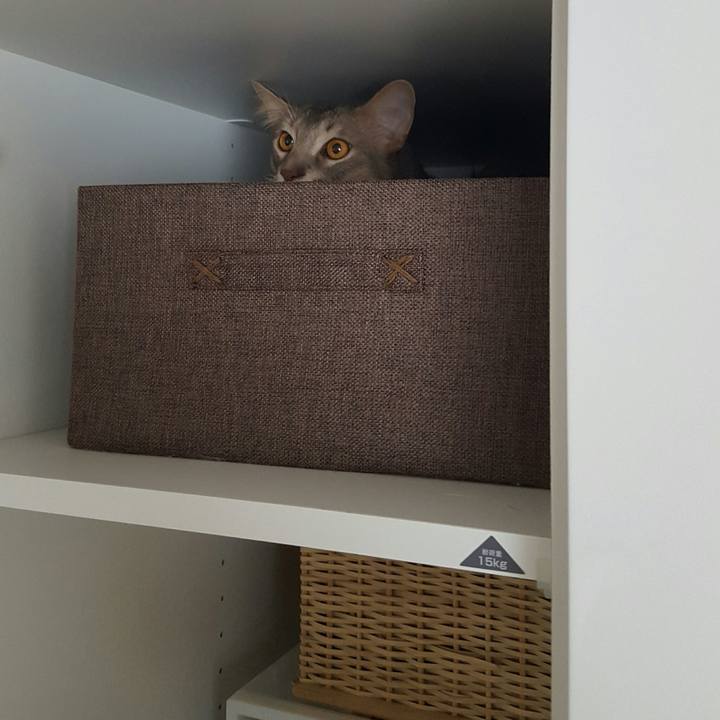 2513c241 3cdb 4d49 9ede 11803a5d5aec