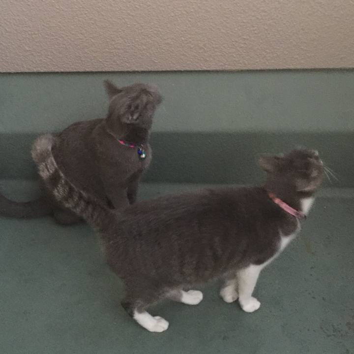 25141e88 3fae 4801 8008 d0cd96089a99