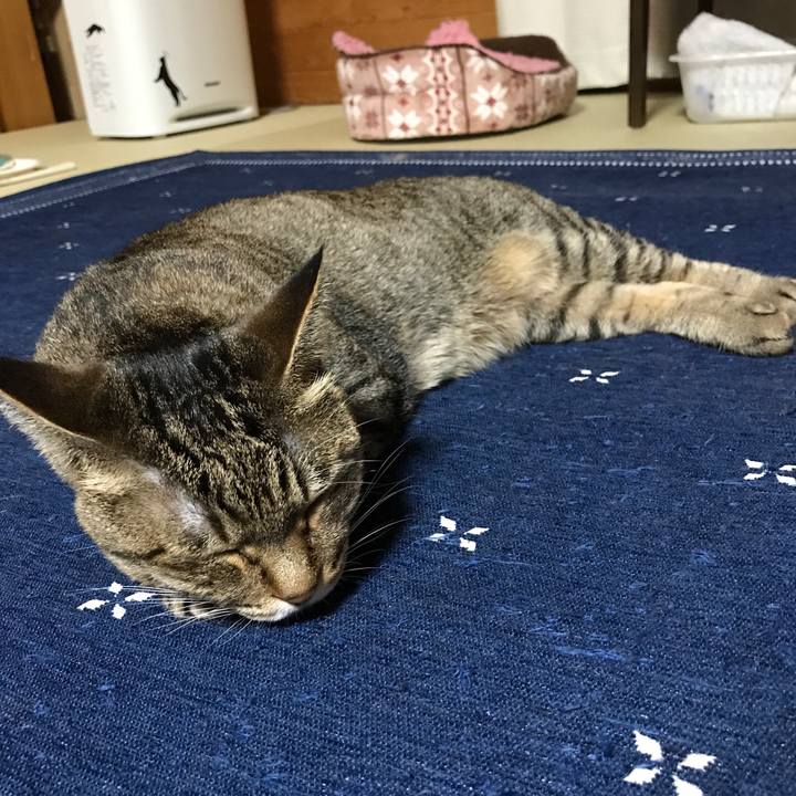 25144424 46eb 4592 b8a6 815f8554a028