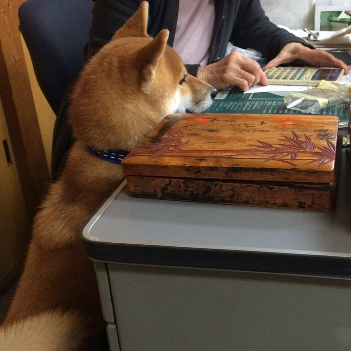 2514f2ae be46 4151 9a76 59a9fa3f152d