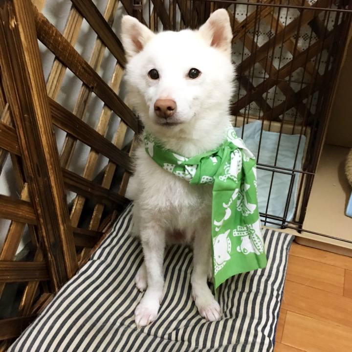 25151696 4626 4a0f 929e e5dfec4e2dc2