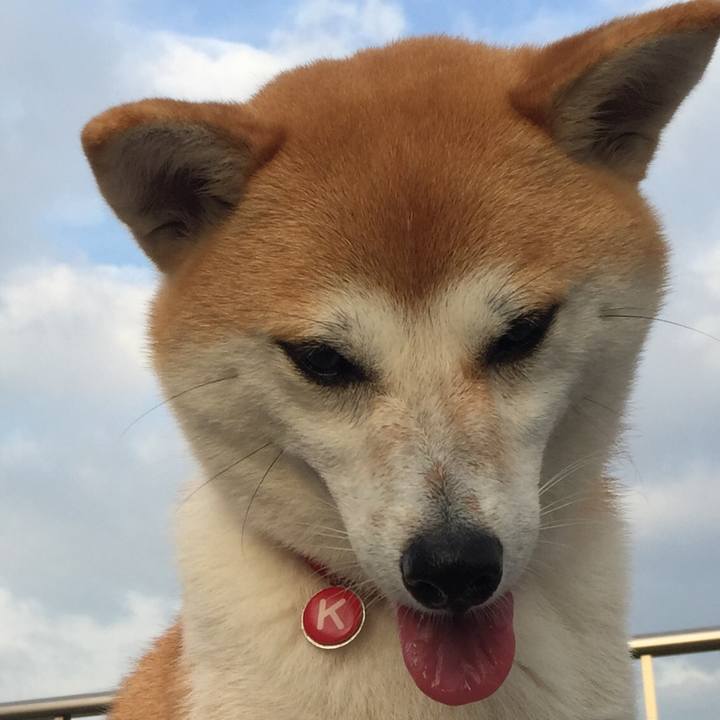 25151a95 9257 466e af12 296ce6e72ff8