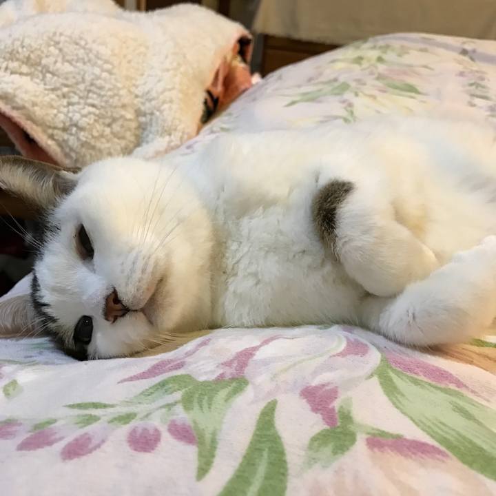 25153b59 afc8 45bd aa6a ec33f66e1f0b