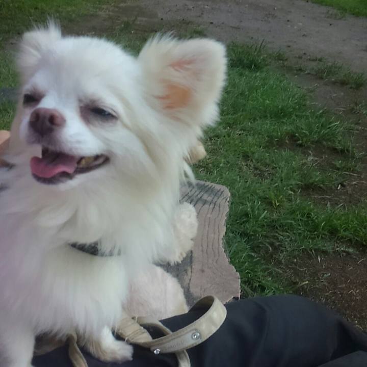 2515fa91 9272 484b 931d 9b18f21c94f4