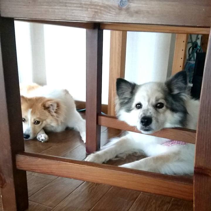 251622c5 5ed6 4c29 a88c 3f0d7229ed0d