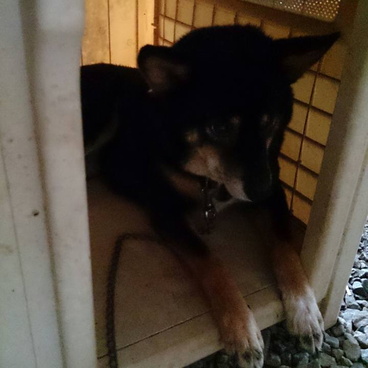 25163bd2 c6e2 4fb5 b0f1 9979301788b8