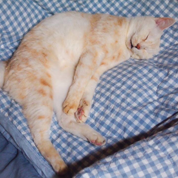 251649ee 22b2 45f0 890e 7f49cc5565eb