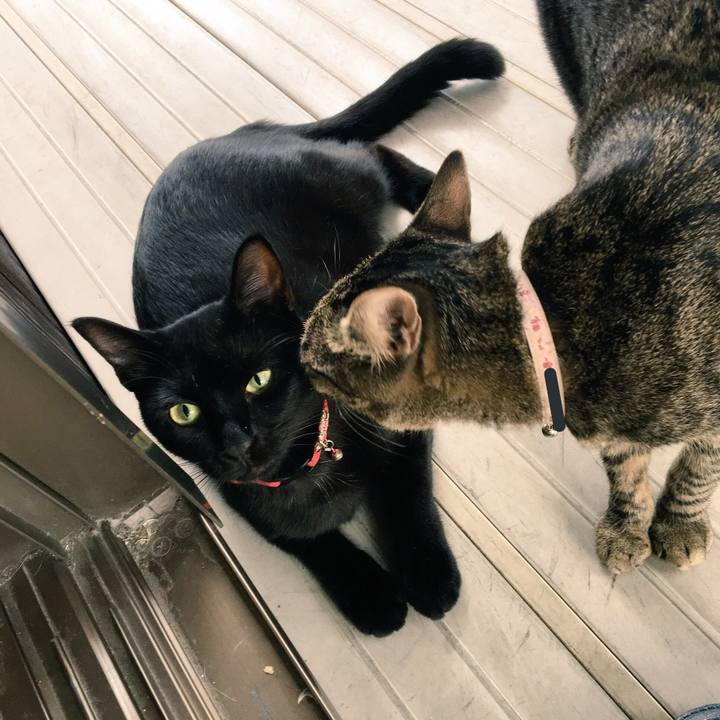 251698f3 68d2 450f 9d7b 9fd83f6ec7dc