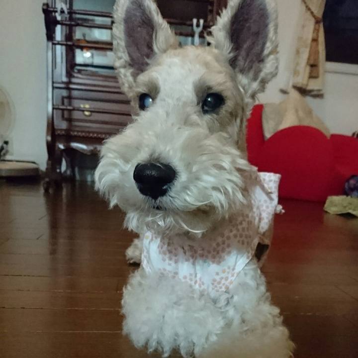 2517d128 2772 4278 a3be 9c3897b85d3c