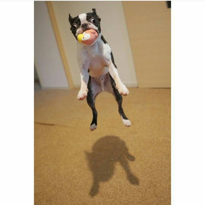 25186198 0ee2 4bea 9c3f 932a307bfbac