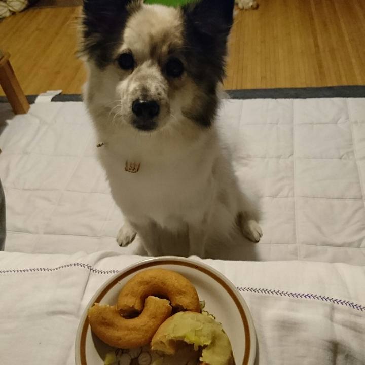 2518f177 6c44 4b34 974d d03df27b8a93