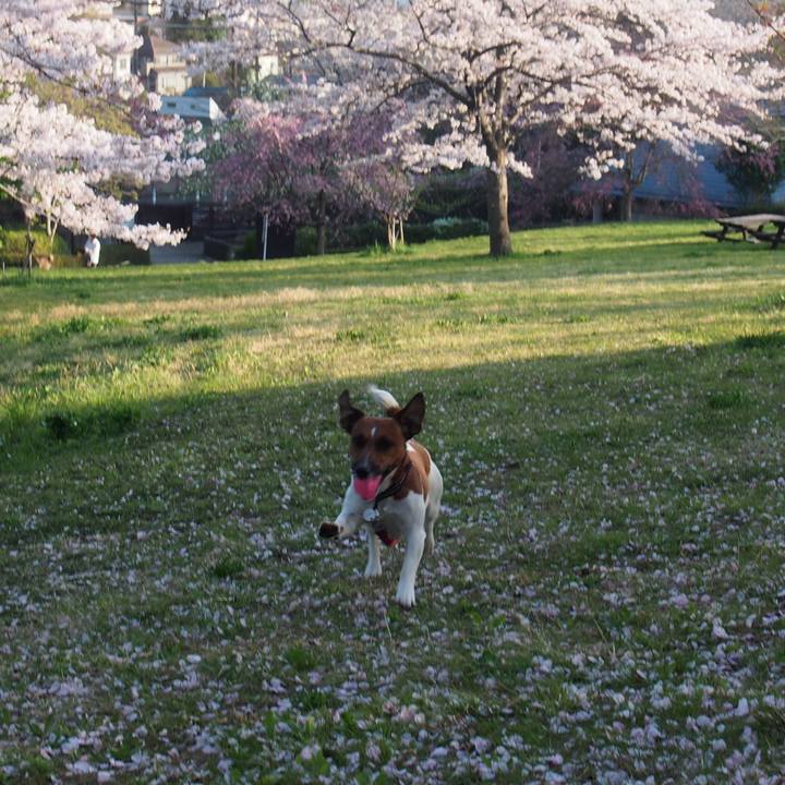 2519b3d5 a7fc 41ea a95e 5191aef5755e