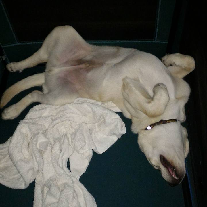 251a4499 9341 40b4 a2ae e1d11ce8710d