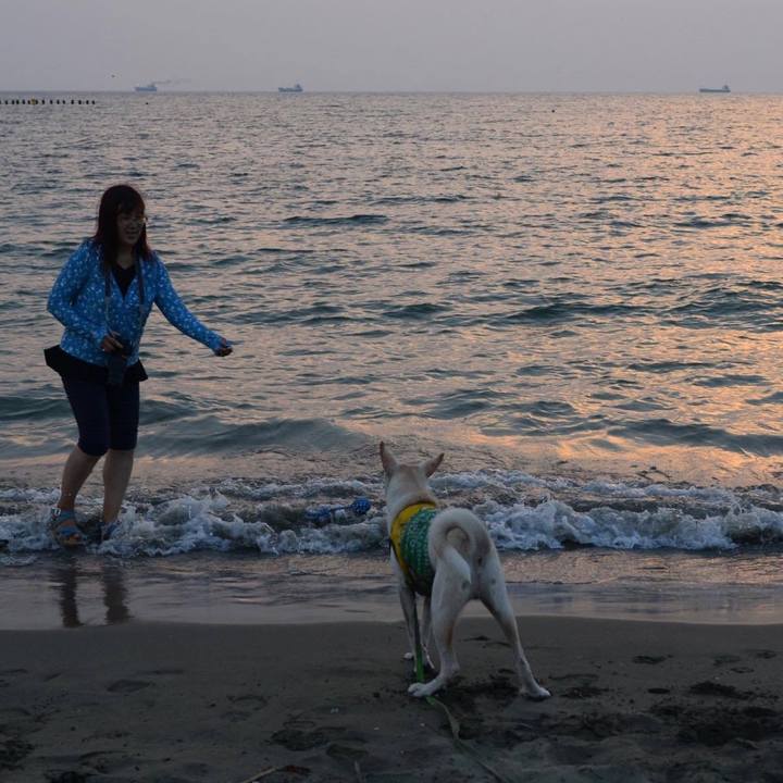 251aa43a c02d 4275 80dc 5efac995e4f7