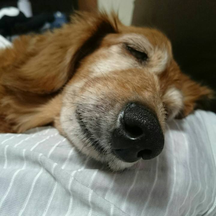 251ab82b c0f0 413b 8f10 668845f22b6e