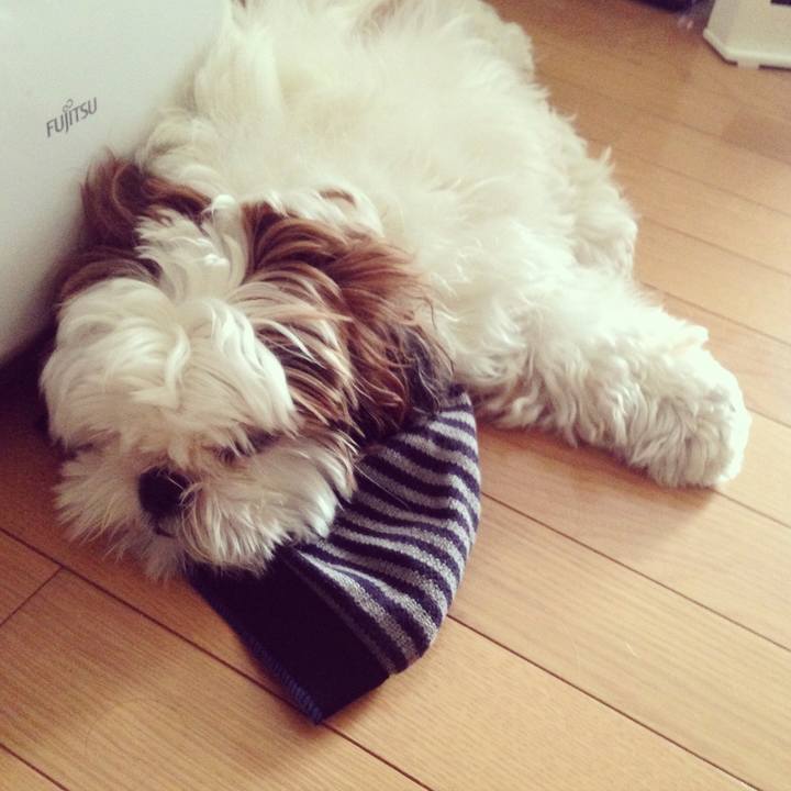 251ac817 e453 46ec b85d e581ff048984