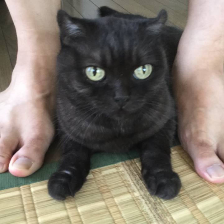 251ae872 a04c 43ed 8d5e 31e31294f561